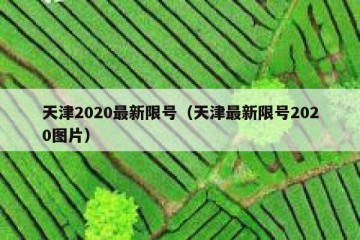 天津2020最新限号（天津最新限号2020图片）