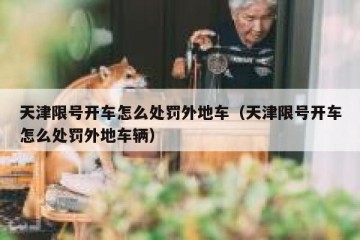 天津限号开车怎么处罚外地车（天津限号开车怎么处罚外地车辆）