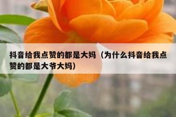 抖音给我点赞的都是大妈（为什么抖音给我点赞的都是大爷大妈）