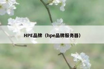 HPE品牌（hpe品牌服务器）