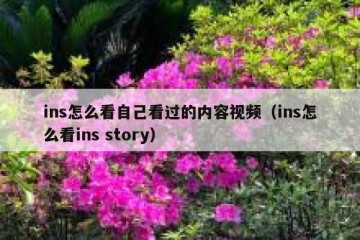 ins怎么看自己看过的内容视频（ins怎么看ins story）