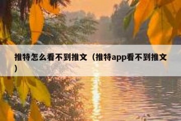 推特怎么看不到推文（推特app看不到推文）