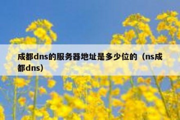 成都dns的服务器地址是多少位的（ns成都dns）