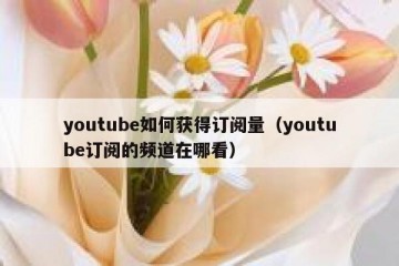youtube如何获得订阅量（youtube订阅的频道在哪看）