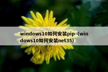 windows10如何安装pip（windows10如何安装net35）