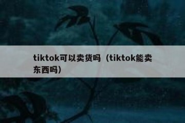 tiktok可以卖货吗（tiktok能卖东西吗）