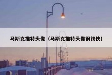 马斯克推特头像（马斯克推特头像钢铁侠）