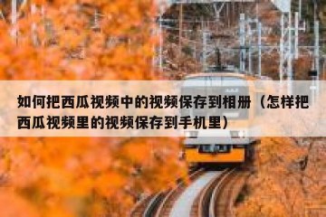 如何把西瓜视频中的视频保存到相册（怎样把西瓜视频里的视频保存到手机里）