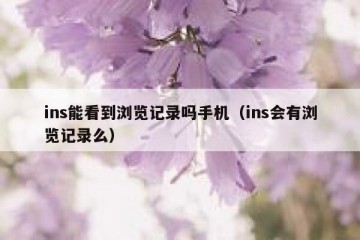ins能看到浏览记录吗手机（ins会有浏览记录么）