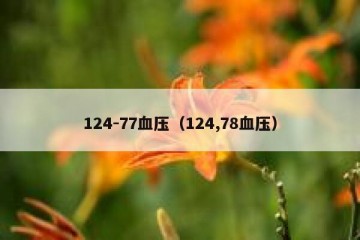 124-77血压（124,78血压）
