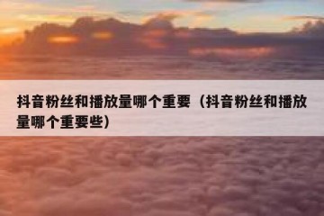 抖音粉丝和播放量哪个重要（抖音粉丝和播放量哪个重要些）