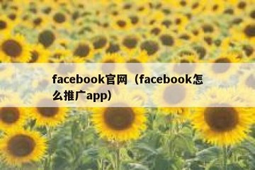 facebook官网（facebook怎么推广app）