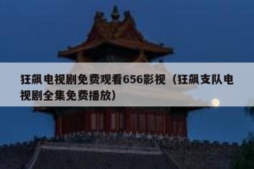 狂飙电视剧免费观看656影视（狂飙支队电视剧全集免费播放）