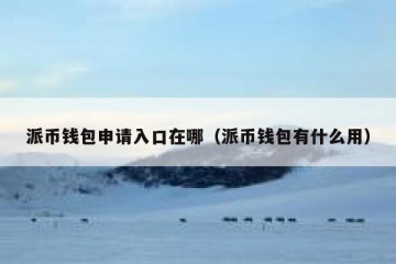 派币钱包申请入口在哪（派币钱包有什么用）