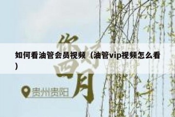 如何看油管会员视频（油管vip视频怎么看）