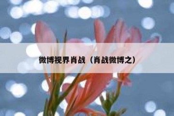 微博视界肖战（肖战微博之）