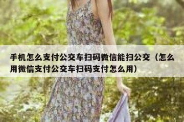 手机怎么支付公交车扫码微信能扫公交（怎么用微信支付公交车扫码支付怎么用）