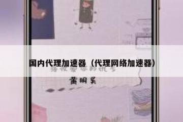 国内代理加速器（代理网络加速器）
