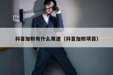 抖音加粉有什么用途（抖音加粉项目）