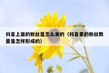 抖音上面的粉丝是怎么来的（抖音里的粉丝数量是怎样形成的）
