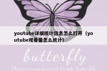 youtube详细统计信息怎么打开（youtube观看量怎么统计）