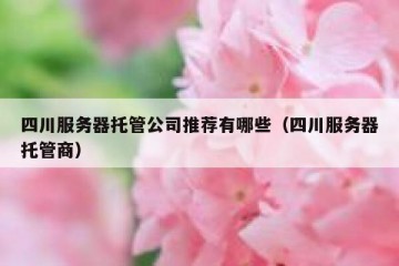 四川服务器托管公司推荐有哪些（四川服务器托管商）