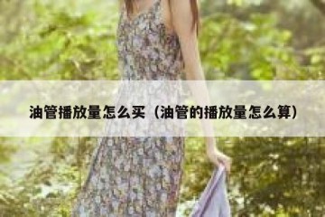 油管播放量怎么买（油管的播放量怎么算）