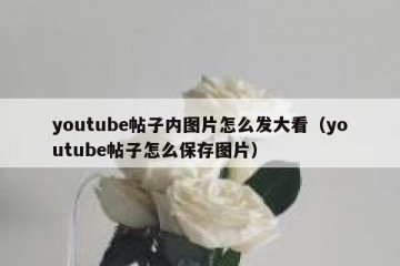 youtube帖子内图片怎么发大看（youtube帖子怎么保存图片）
