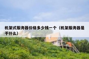 机架式服务器价格多少钱一个（机架服务器是干什么）