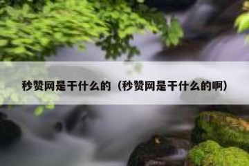 秒赞网是干什么的（秒赞网是干什么的啊）