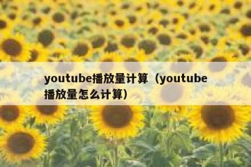 youtube播放量计算（youtube播放量怎么计算）