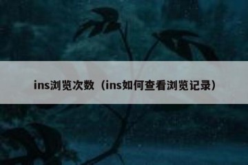 ins浏览次数（ins如何查看浏览记录）