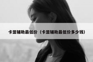 卡盟辅助最低价（卡盟辅助最低价多少钱）