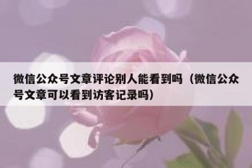 微信公众号文章评论别人能看到吗（微信公众号文章可以看到访客记录吗）
