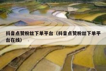 抖音点赞粉丝下单平台（抖音点赞粉丝下单平台在线）