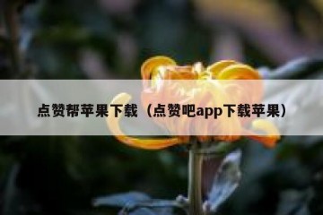 点赞帮苹果下载（点赞吧app下载苹果）