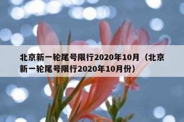 北京新一轮尾号限行2020年10月（北京新一轮尾号限行2020年10月份）