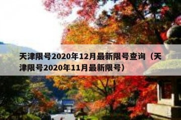 天津限号2020年12月最新限号查询（天津限号2020年11月最新限号）