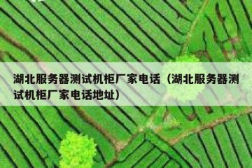 湖北服务器测试机柜厂家电话（湖北服务器测试机柜厂家电话地址）
