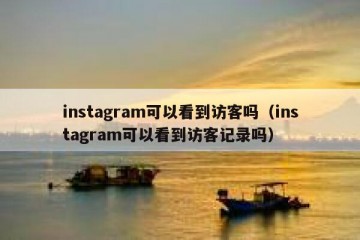 instagram可以看到访客吗（instagram可以看到访客记录吗）
