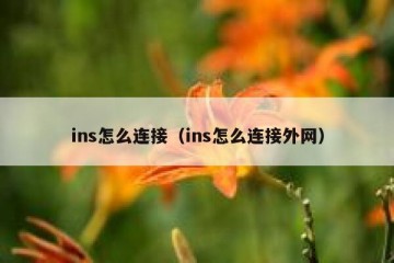 ins怎么连接（ins怎么连接外网）