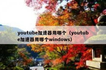 youtube加速器用哪个（youtube加速器用哪个windows）