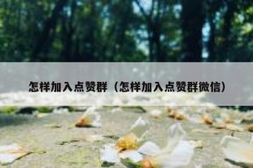 怎样加入点赞群（怎样加入点赞群微信）