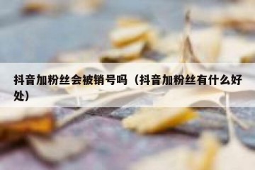抖音加粉丝会被销号吗（抖音加粉丝有什么好处）