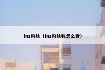 ins粉丝（ins粉丝数怎么看）