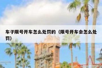车子限号开车怎么处罚的（限号开车会怎么处罚）