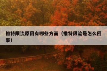 推特限流原因有哪些方面（推特限流是怎么回事）