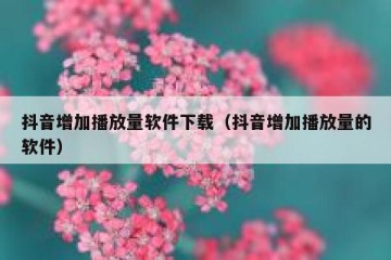 抖音增加播放量软件下载（抖音增加播放量的软件）