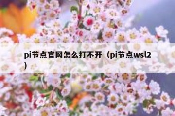 pi节点官网怎么打不开（pi节点wsl2）