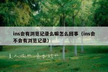 ins会有浏览记录么嘛怎么回事（ins会不会有浏览记录）